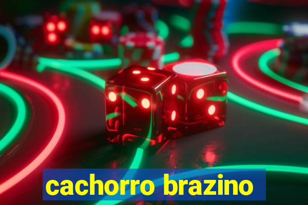 cachorro brazino